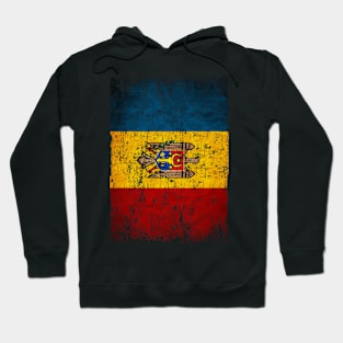 Moldova Flag Women Men Children Moldova Retro Vintage Hoodie